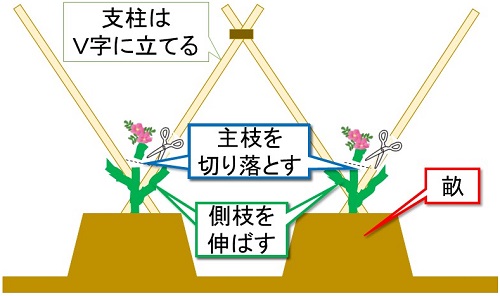 茄子の収穫期間を延長させる方法 家庭菜園の裏ワザ 見積り外構工事 優良なエクステリア業者を無料で紹介 提案